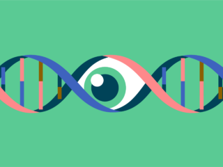 Recreational DNA Tests