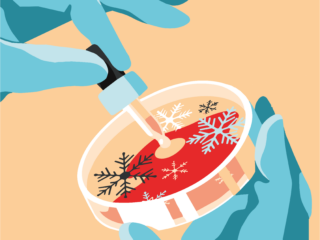 Winter Weekly #1